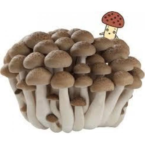 蟹味菇（小丁菇） 150g