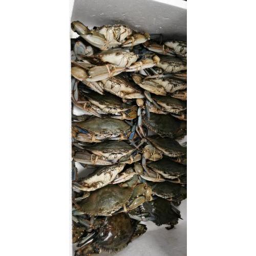 预订  花蟹 1只（约200克/只）   £26 （至尊会员 £21） 按实际重量计算价格  每周三，六配送