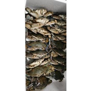预订  花蟹 1只（约200克/只）   £26 （至尊会员 £21） 按实际重量计算价格  每周三，六配送