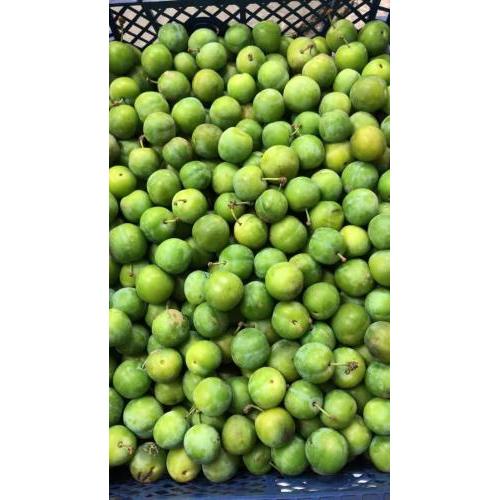 新鲜 青李子 (酸甜） 300g/约10个