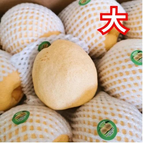 新鲜 超甜山梨/贡梨/酥梨 （大) 1个