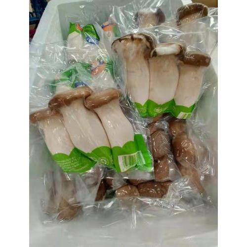 新鲜 杏鲍菇/鸡腿菇 真空包装 200g