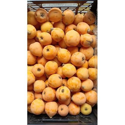 新鲜 枇杷 1箱约6.5kg