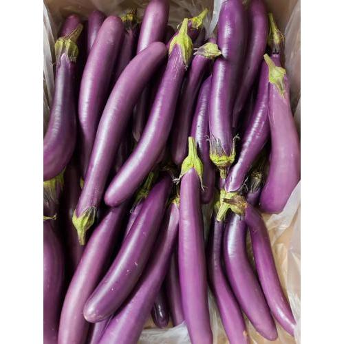 长茄子 1份约2kg