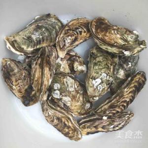 预订 新鲜大生蚝 1只 (大)   5月7日-8日 配送