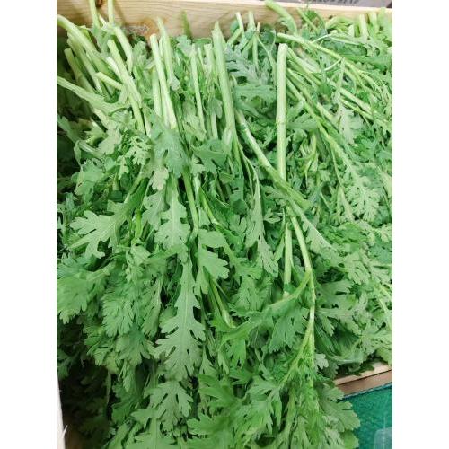 新鲜 细叶茼蒿 1kg