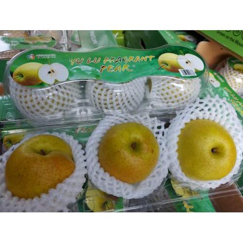 新鲜 玉露香梨  1盒3个