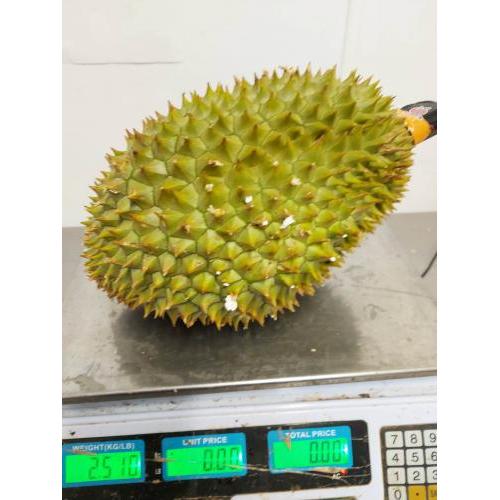 越南小黑刺榴莲 整个  2.51kg (£18.99/kg)