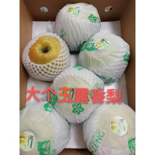 新鲜 大个玉露香梨礼盒装 （6个）