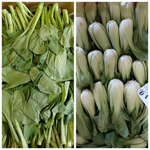 周日赠品（购满£40.00，赠送一份）菜心约500g+上海青约500g (只限 10/12/2023 配送的订单）