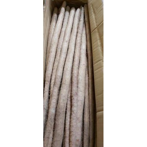 新鲜 铁棍淮山 细 1箱约10kg