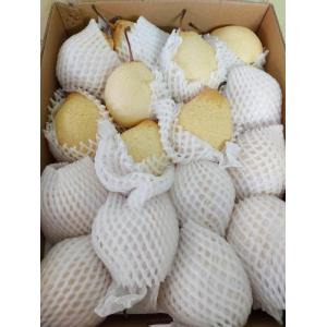 新鲜 大个鸭梨  1箱 约12个
