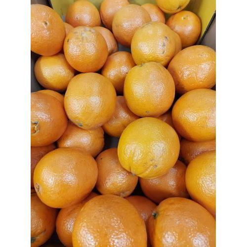 新鲜 甜橙 3个