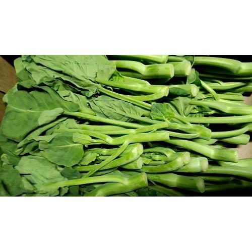 新鲜 本地农场 芥兰 1kg