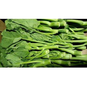 新鲜 本地农场 芥兰 1kg