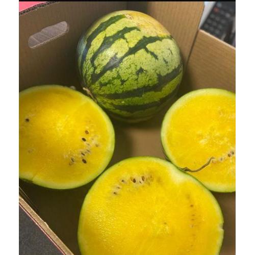 新鲜 幼籽黄心西瓜（甜） 1个约2.6kg