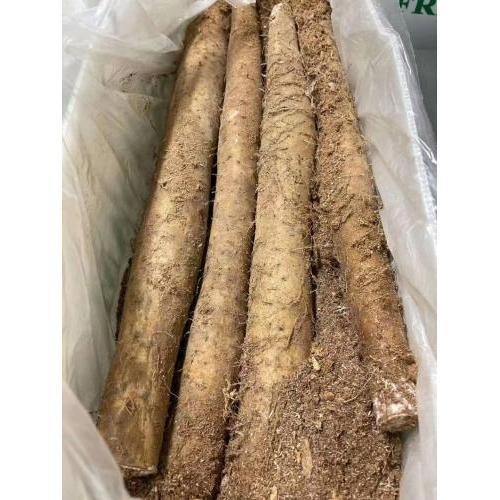 新鲜 粗淮山/山药 1份约1kg