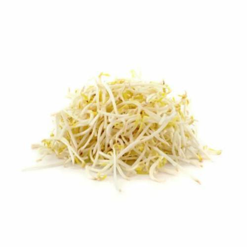 新鲜 芽菜/绿豆芽菜 1包约4kg