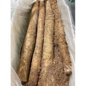 新鲜 粗淮山/山药 1份约1kg
