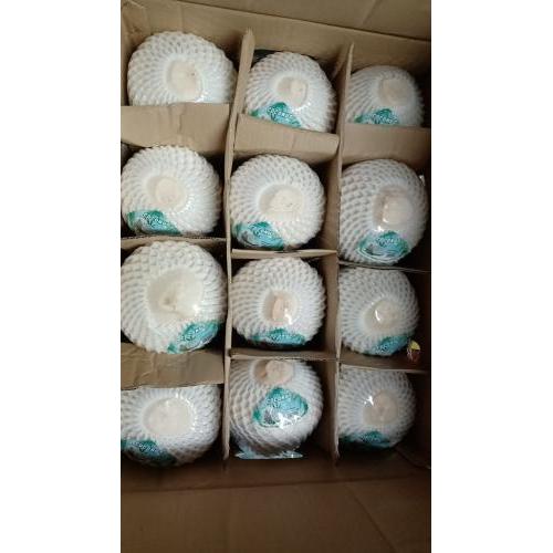 新鲜 椰青 1个 (没有吸管）