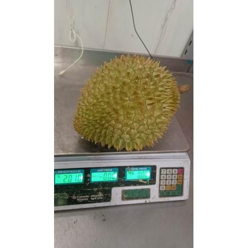 越南RI6榴莲 整个  2.01kg  £16.99/kg （会员价 £14.99/kg)