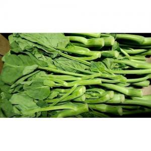 新鲜 本地芥兰 1箱约2kg