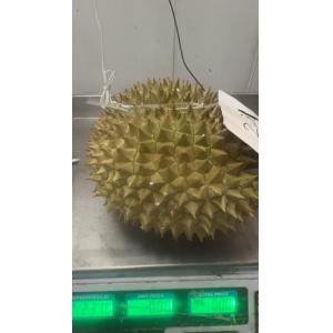越南RI6榴莲 整个  2.31kg  £16.99/kg （会员价 £14.99/kg)