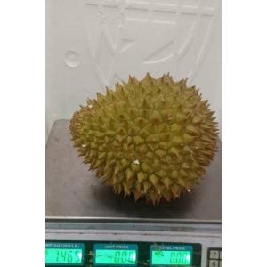 新鲜 榴莲 1个 1.465KG  £16.99/kg  （会员价九折优惠）