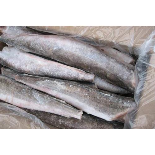 冷冻 无须鳕鱼 （无头去内脏）£5.99/kg