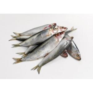 冷冻 鲱鱼 1kg （适合煎炸，烧烤）