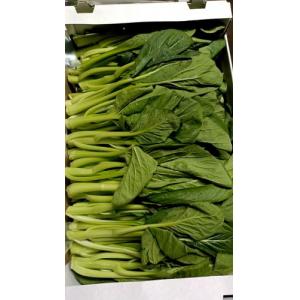 特价 靓菜心 约1kg