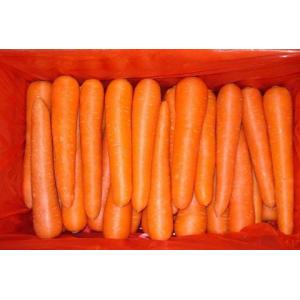 新鲜 大红萝卜 1份约1kg