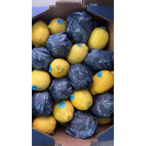 新鲜大个柠檬 1个