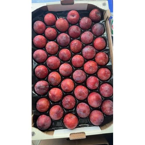 新鲜 大个红李子/红布霖 2个 甜