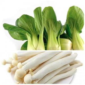 周末赠品（购满£40.00，赠送一份）上海青约500g+海鲜菇约150g  (只限 01/11/2025到02/11/2025 配送的订单）