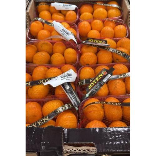 新鲜橘子 1kg 盒装