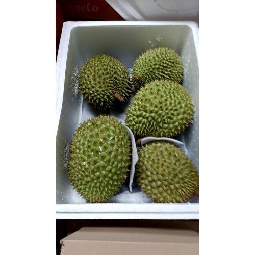 新鲜 榴莲 1个  £15.99/kg (请点选规格內的重量加入购物车）