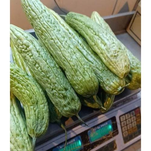 减价 苦瓜 1份约400g 质量欠佳