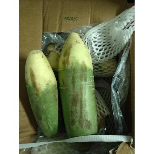 减价 新鲜青萝卜 外皮有磨损 1份约1kg